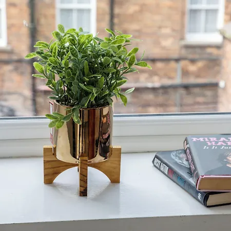 Serenity 4* Скарборо